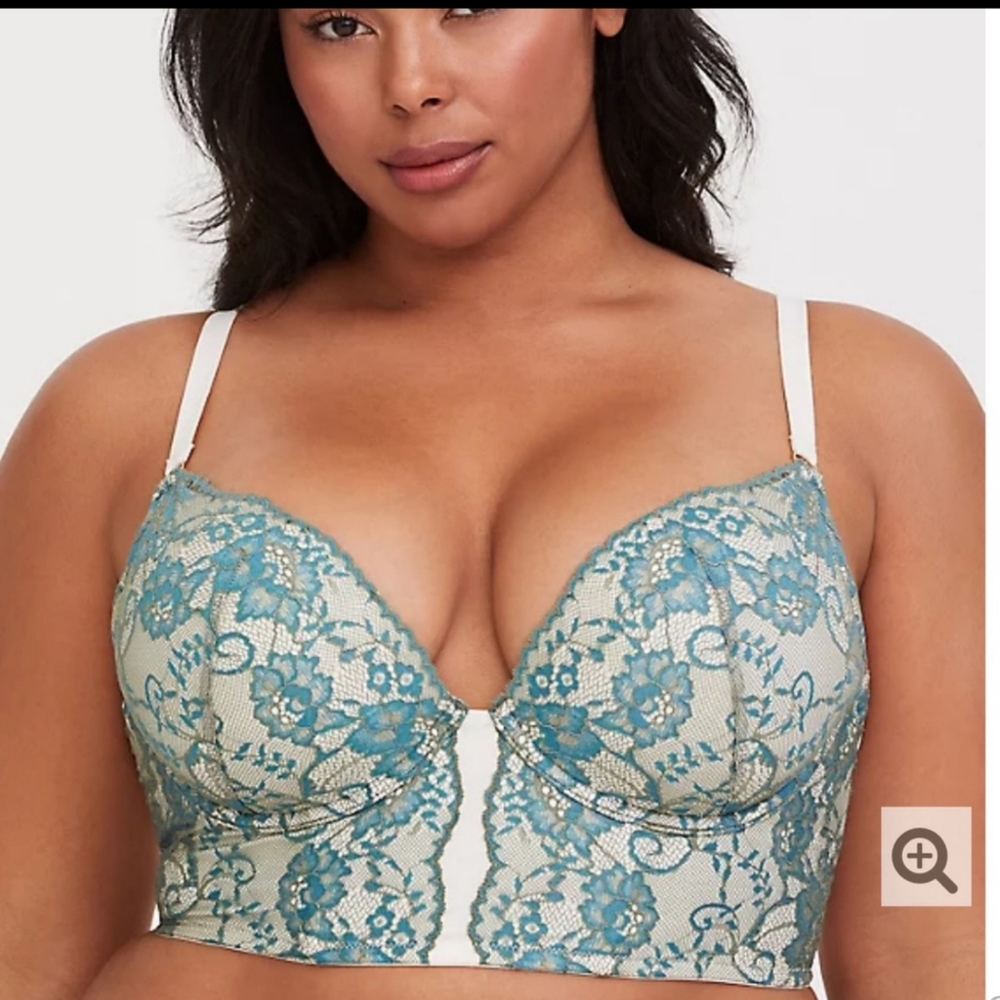 NWT Lace longline plunge push up bra